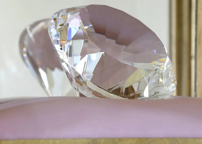 Hôtel accueillant les animaux: Detective Hotel